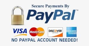 PayPal secure payment